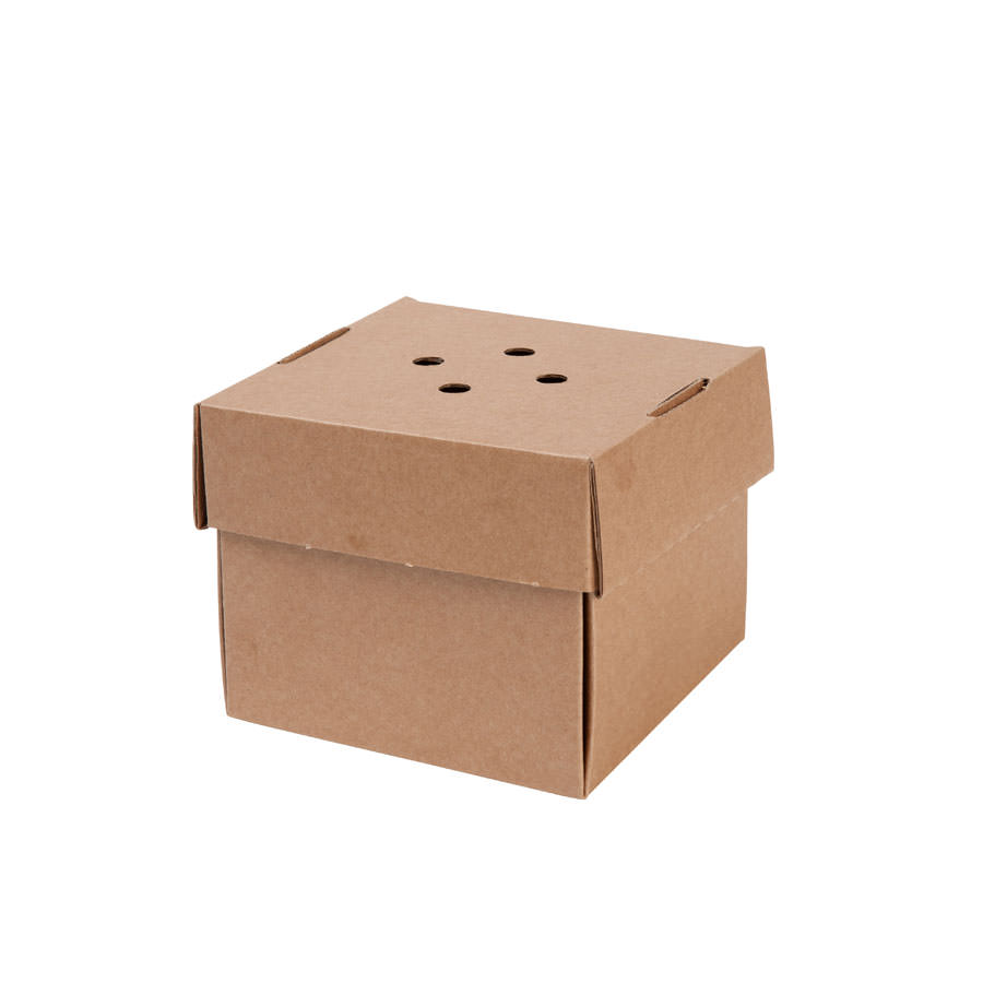 Caja para hamburguesa XL, cartón kraft, 13 x 13 x 10 cm Las cajas de Bionatic Spain son 100% ecológicas, biodegradables, sostenibles y desechables. Biopacksystems es ahora Bionatic Spain, especialistas en envases ecológicos para alimentación desde 2010. La primera tienda online de envases ecológicos, biodegradables y compostables de calidad. Bionatic Spain ofrece una gama de productos ecológicos y 100% biodegradables a empresas de catering, restaurantes, truck food. Los envases de Bionatic Spain, son perfectos para take away, para llevar la comida que sobra en el restaurante y para comida para llevar en general. Los productos de biopacksystems y Bionatic Spain, son de calidad garantizada y con todos los certificados que exige la comunidad europea.